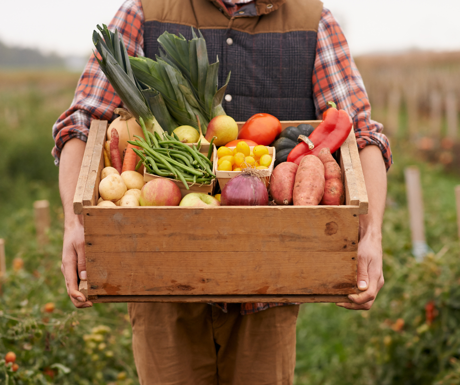 Farmer holding a crate of fresh food, vegetables like carrots, tomatoes, onions, peppers, while standing in a field.