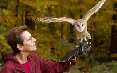 For Families: A CHP Spring Resource Fair, with Wingmasters Birds of Prey Demonstration 